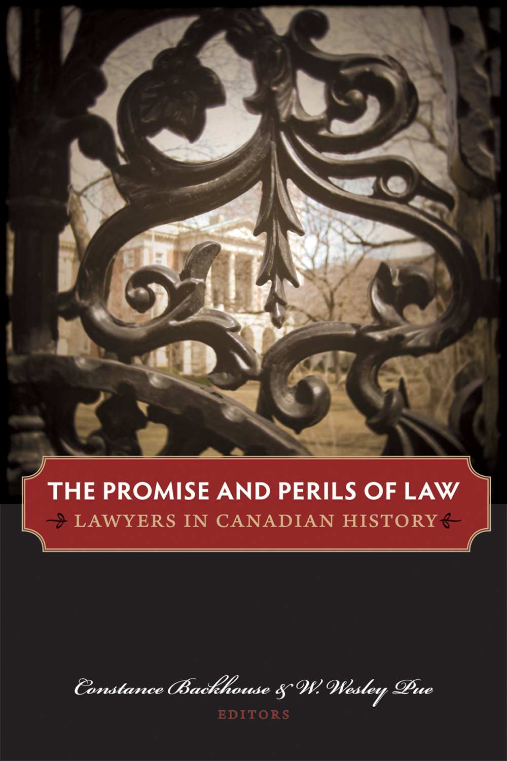The Promise and Perils of Law