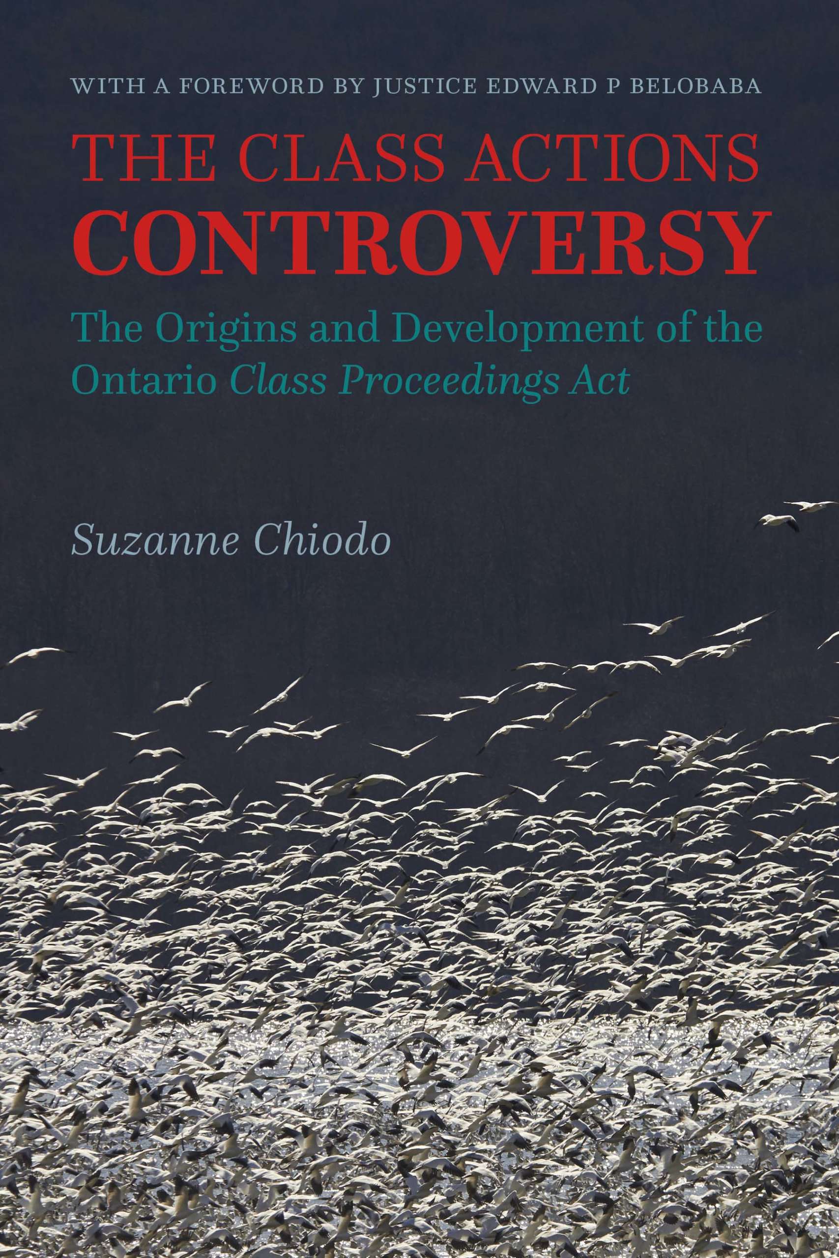The Class Actions Controversy