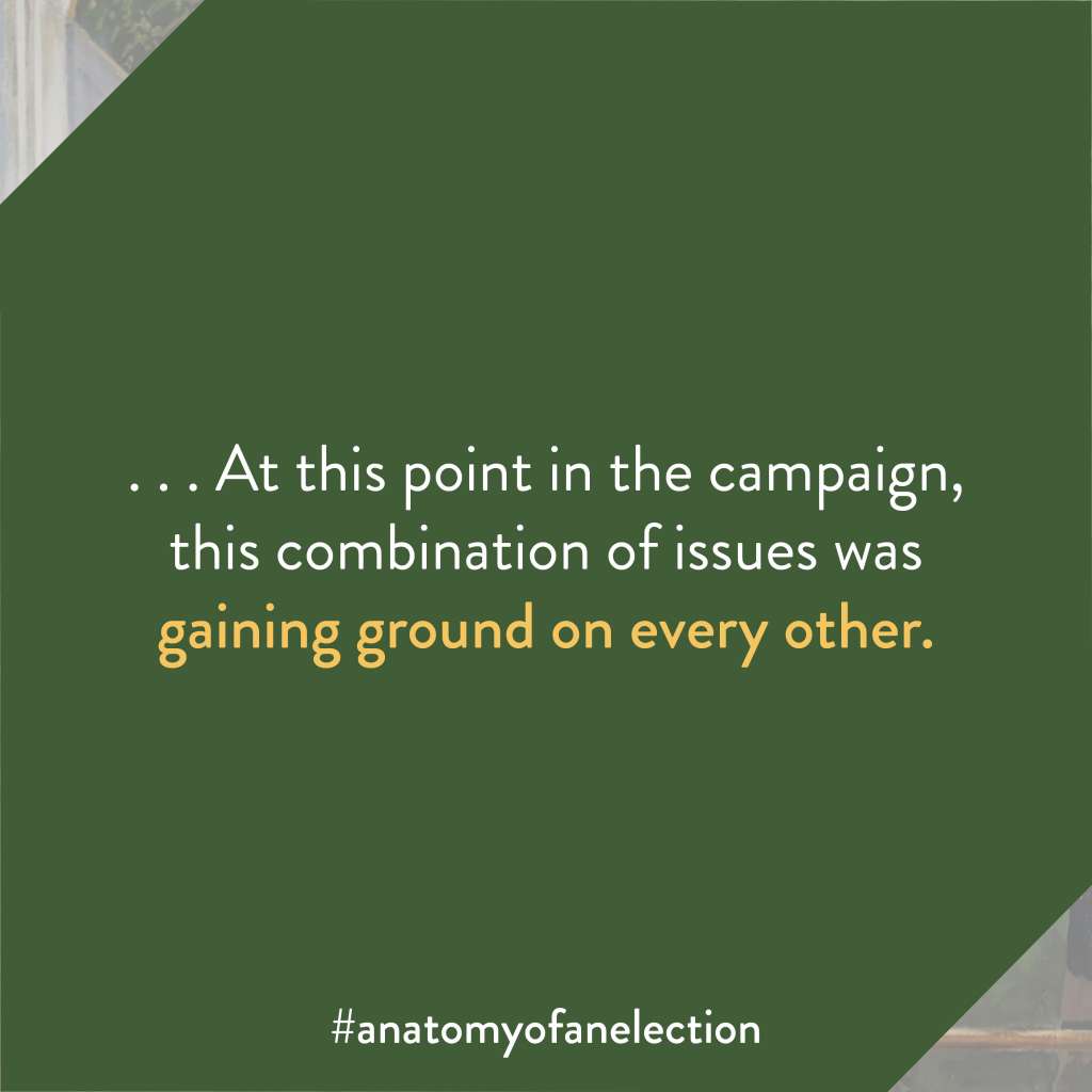 Excerpt from Anatomy of an Election by Gregory Tardi. It states: ". . . At this point in the campaign, this combination of issues was gaining ground on every other."
