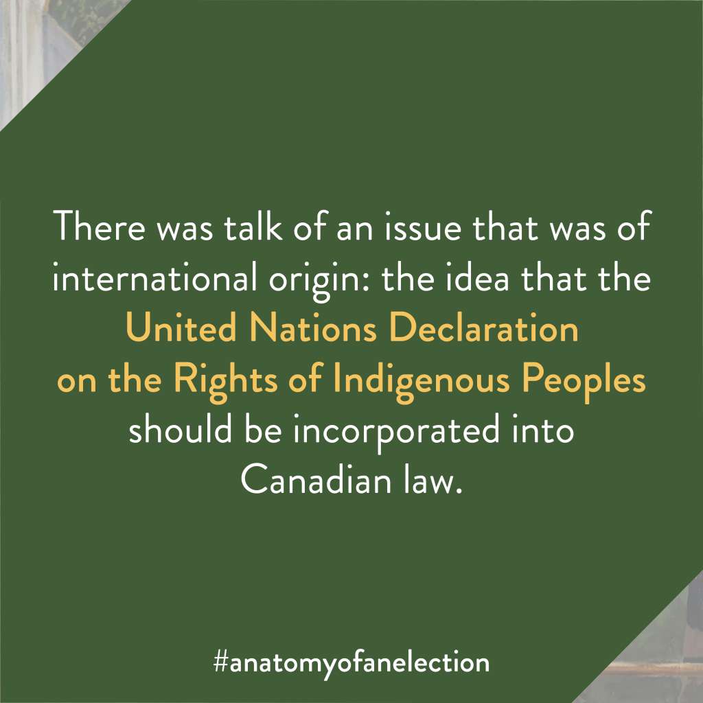 Excerpt from Anatomy of an Election by Gregory Tardi. It states: "There was talk of an issue that was of international origin: the idea that the United Nations Declaration on the Rights of Indigenous Peoples should be incorporated into Canadian law."